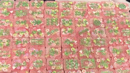 Travel Mahjong Set 70 Pieces- Cherry Blossoms